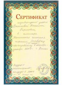 Васильева дипломы